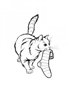Cat with a Sock Coloring Page