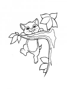 Kitten Hanging from a Branch Coloring Page