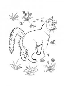 Walking Cat Coloring Page