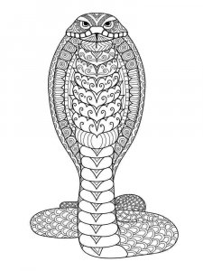 Cobra coloring page - picture 10