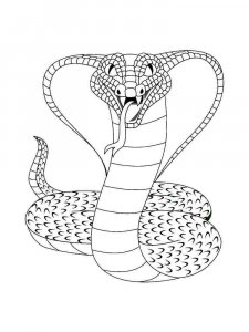 Cobra coloring page - picture 13