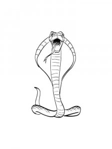 Cobra coloring page - picture 14