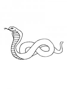 Cobra coloring page - picture 19