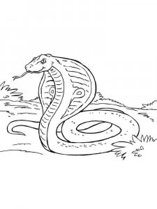 Cobra coloring page - picture 2