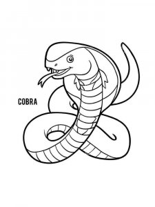 Cobra coloring page - picture 20