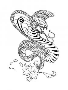 Cobra coloring page - picture 22