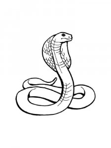 Cobra coloring page - picture 26