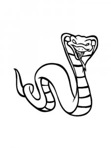 Cobra coloring page - picture 30