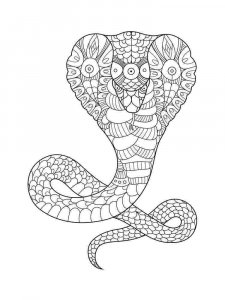 Cobra coloring page - picture 33