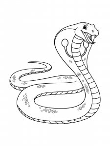Cobra coloring page - picture 37