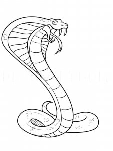 Cobra coloring page - picture 39