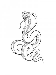 Cobra coloring page - picture 41