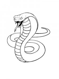 Cobra coloring page - picture 5
