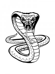 Cobra coloring page - picture 6