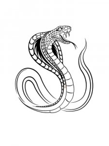 Cobra coloring page - picture 8