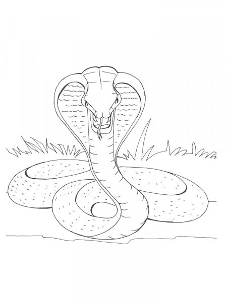 Cobra coloring pages