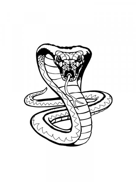 Cobra coloring pages