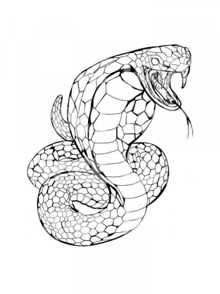Cobra coloring pages