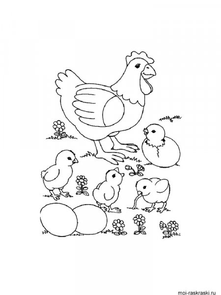 Chicken coloring pages. Download and print Chicken coloring pages