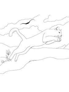 Cougar coloring page - picture 10