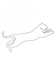 Cougar coloring page - picture 14