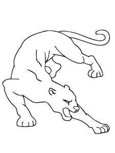 Cougar coloring page - picture 15
