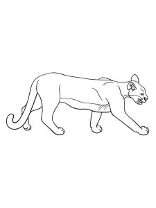 Cougar coloring page - picture 18