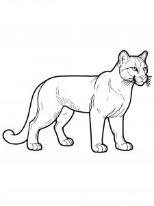 Beautiful Cougar Coloring Page