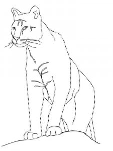 Cougar coloring page - picture 7