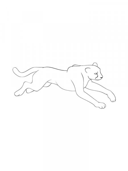 Cougar coloring pages