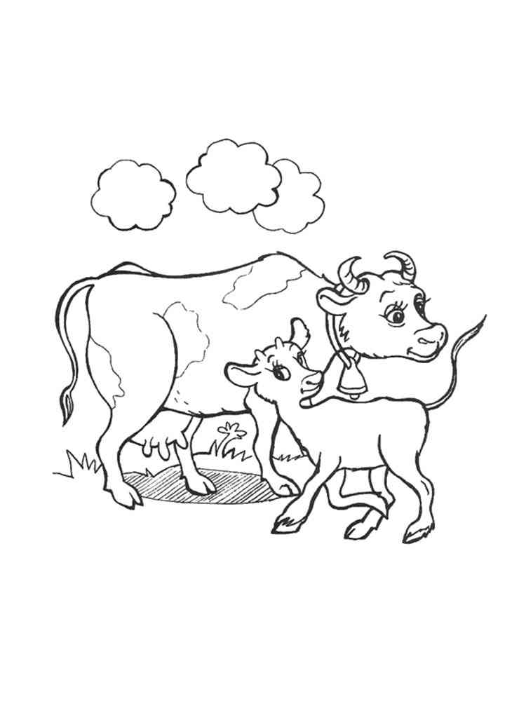 Cow coloring pages