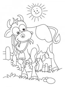 Cow coloring page - picture 12