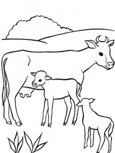 Cow coloring page - picture 14