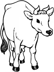 Cow coloring page - picture 15
