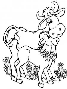 Cow coloring page - picture 17
