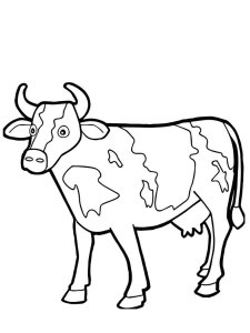 Cow coloring page - picture 2
