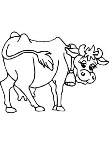 Cow coloring page - picture 20