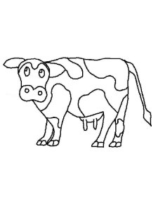 Cow coloring page - picture 21