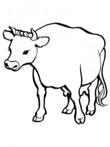 Cow coloring page - picture 22