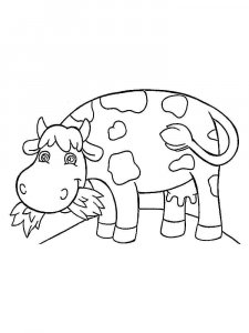 Cow coloring page - picture 30