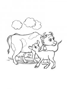 Cow coloring page - picture 33