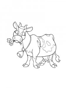 Cow coloring page - picture 34