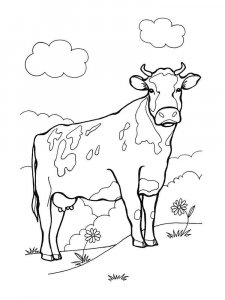 Cow coloring page - picture 37