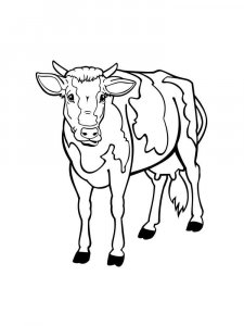 Cow coloring page - picture 41