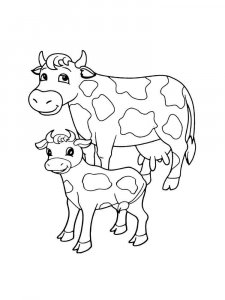 Cow coloring page - picture 43