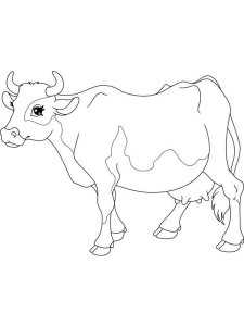 Cow coloring page - picture 46