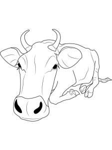 Cow coloring page - picture 52