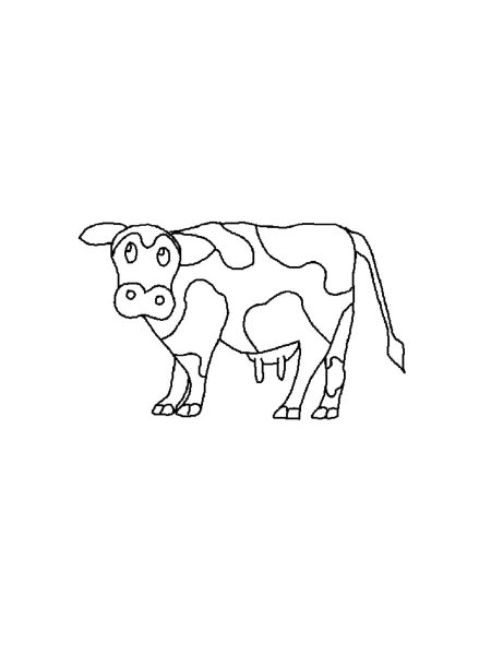 Cow Coloring Pages