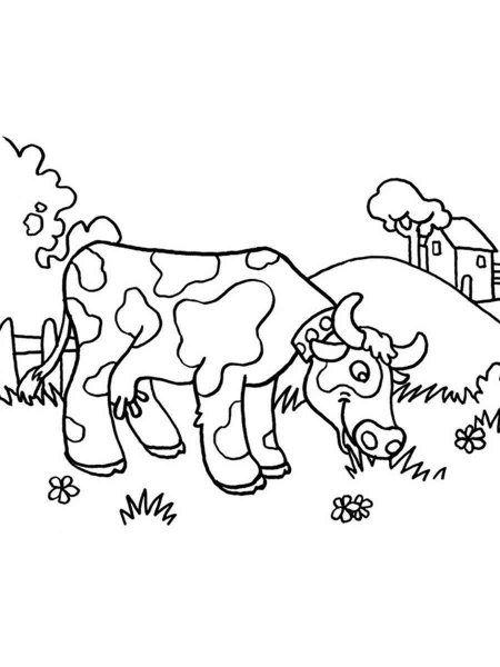 Cow coloring pages