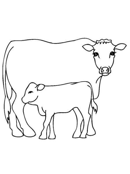 Cow coloring pages